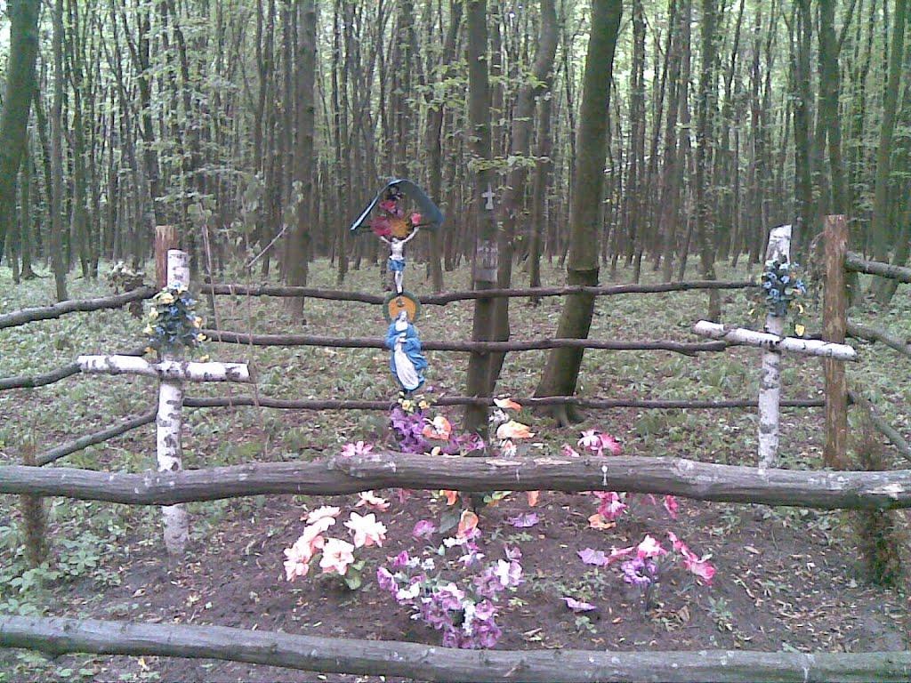 Шутроминці з panoramio.com - Шутроминцы