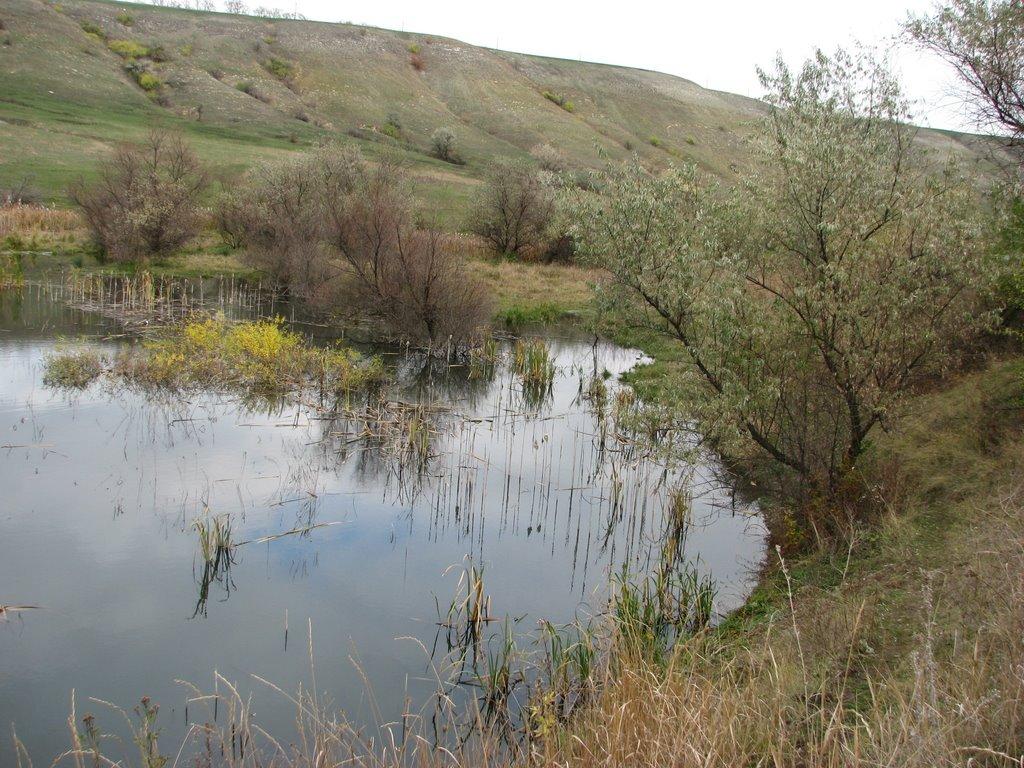 Лутугине з panoramio.com - Лутугине