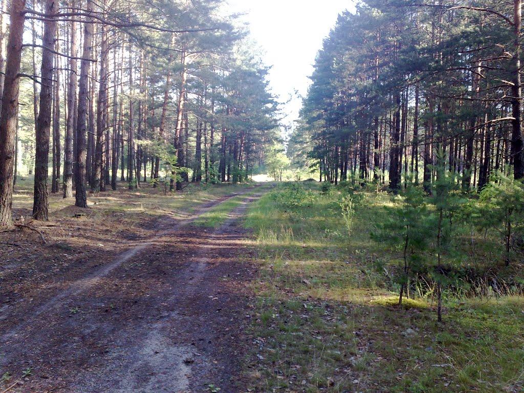 Софіянівка з panoramio.com - Sofiyanivka