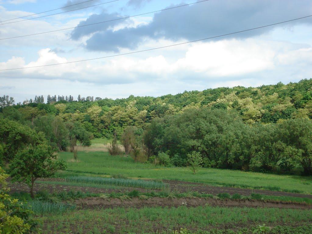 Кавунівка з panoramio.com - Кавуновка