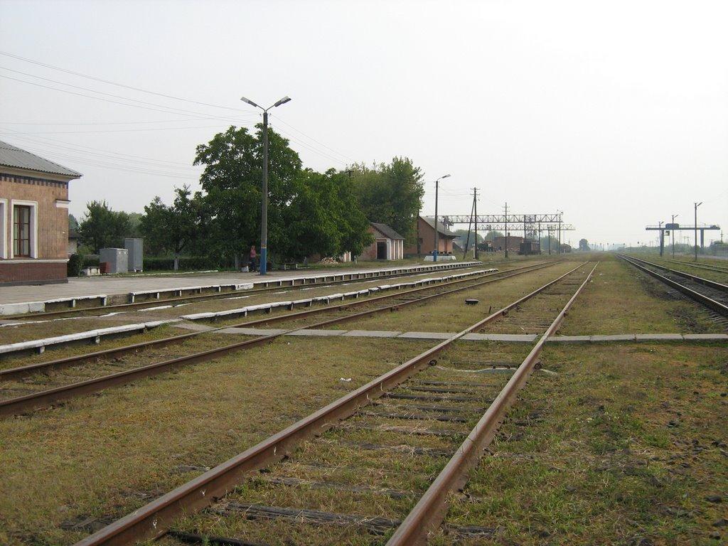 Любомль з panoramio.com - Любомль