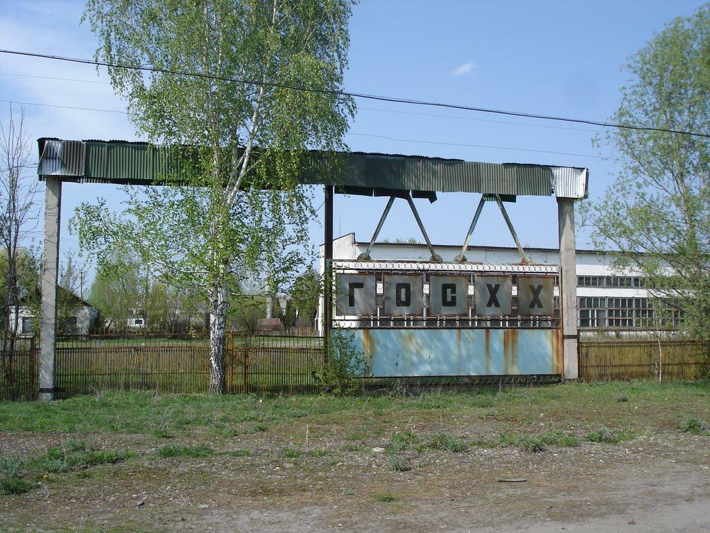 Веселе з panoramio.com - Веселое