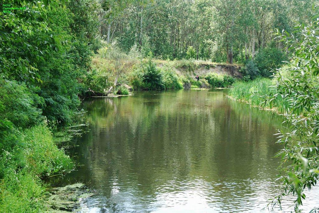 Лабурівка з panoramio.com - Лабурівка