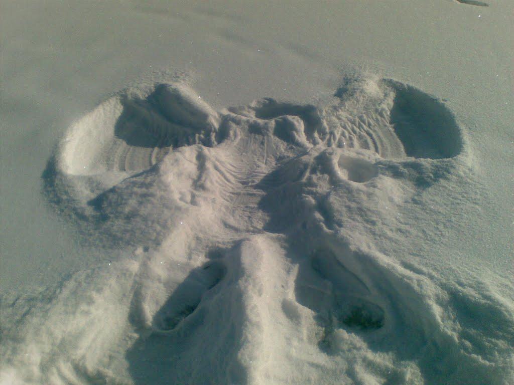 Федорівка з panoramio.com - Федорівка