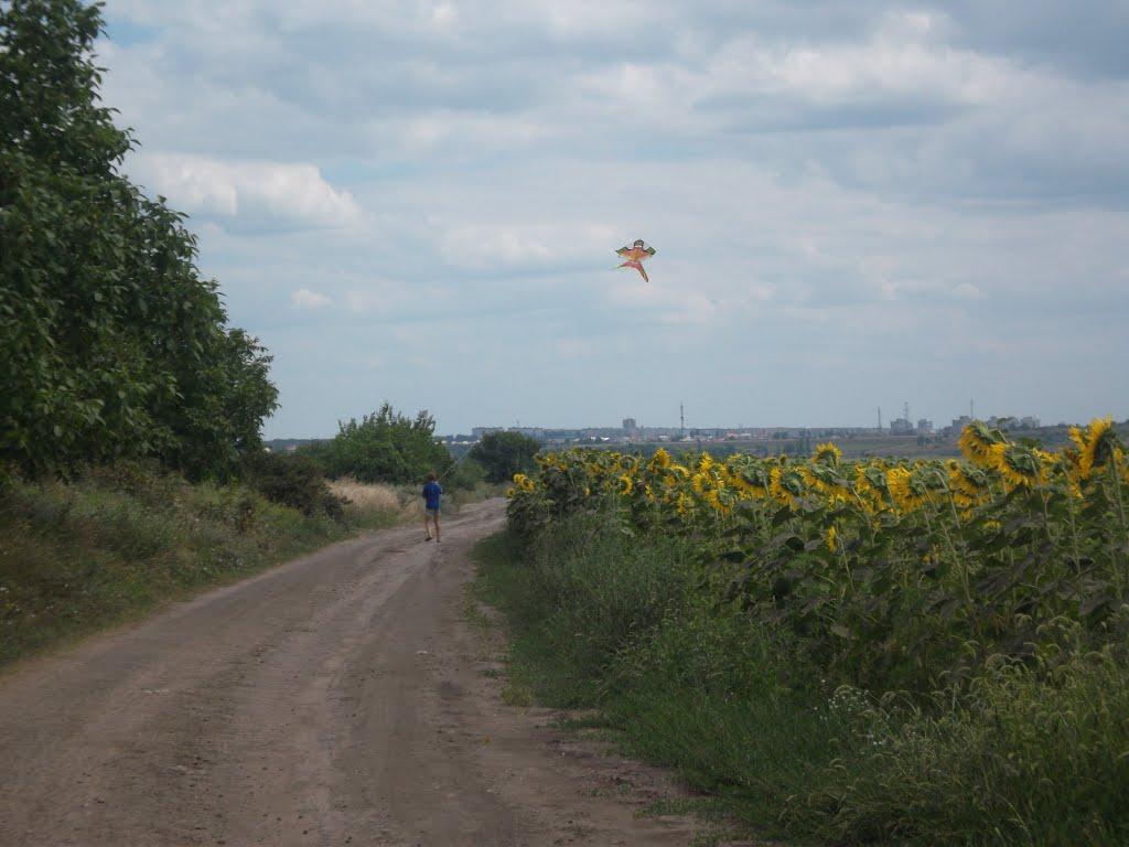 Панкратове з panoramio.com - Панкратово