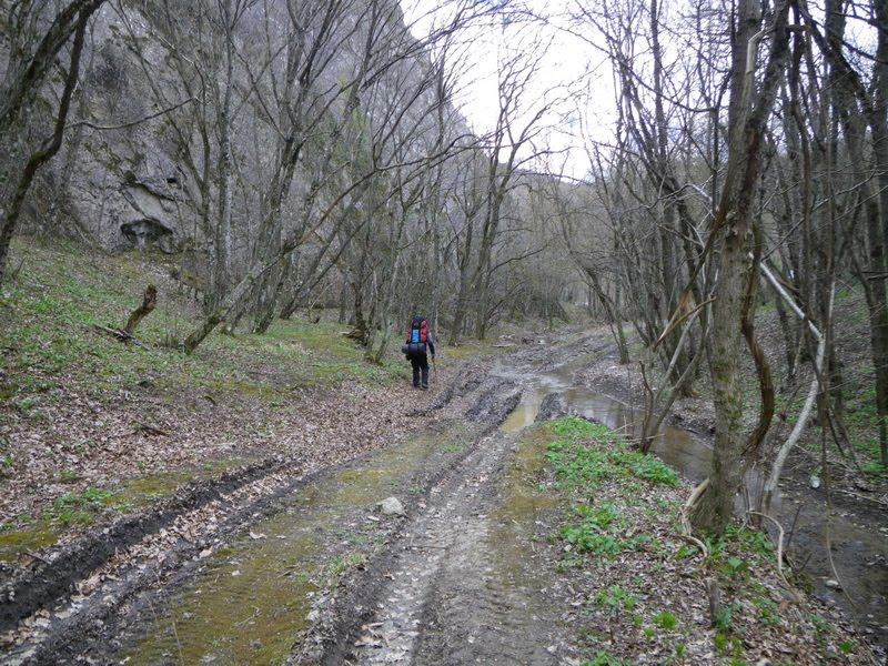 Лісне з panoramio.com - Лісне