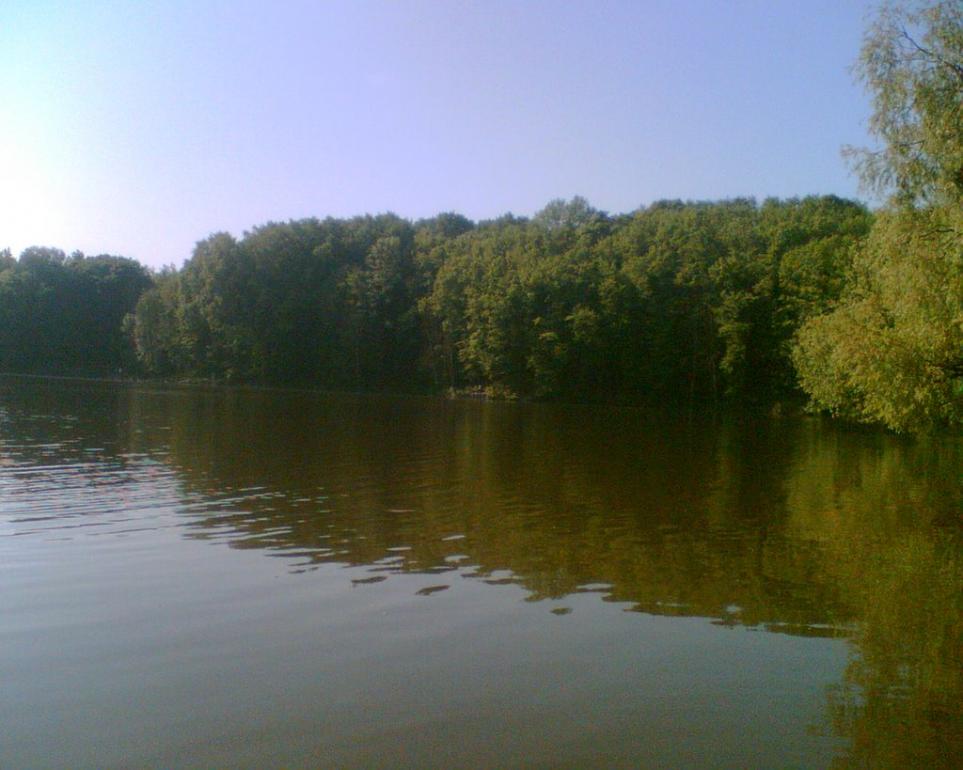 Лобачів з panoramio.com - Лобачів