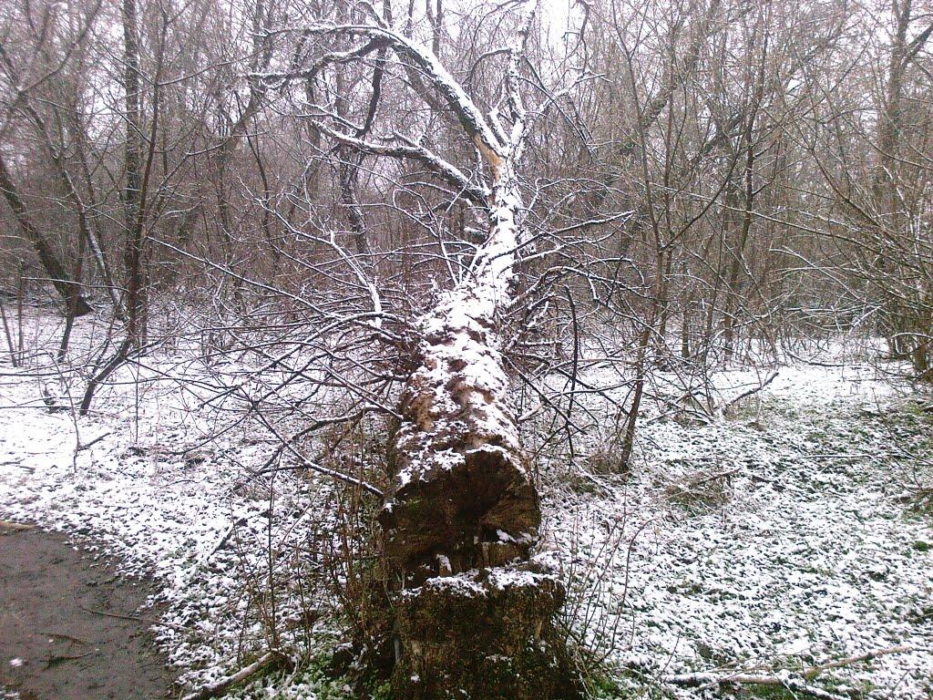 Димитров з panoramio.com - Димитров