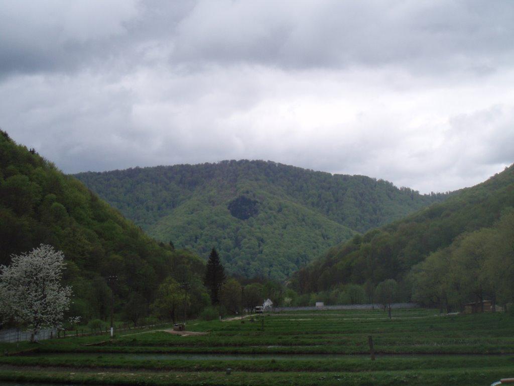 Вовчий з panoramio.com - Вовчий