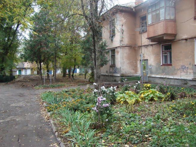 Орджонікідзе з panoramio.com - Орджоникидзе