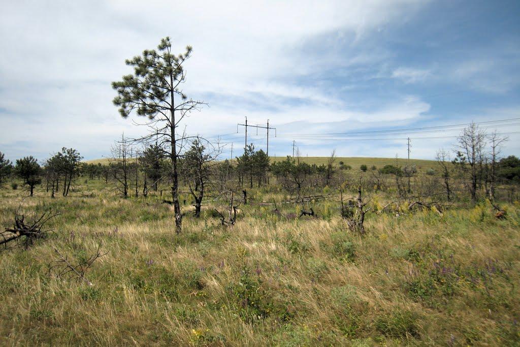 Кам'янка з panoramio.com - Каменка