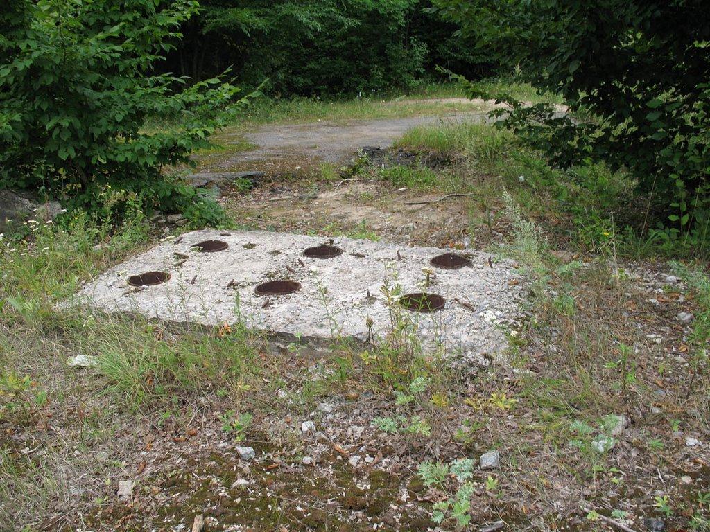 Дзензелівка з panoramio.com - Дзензелевка