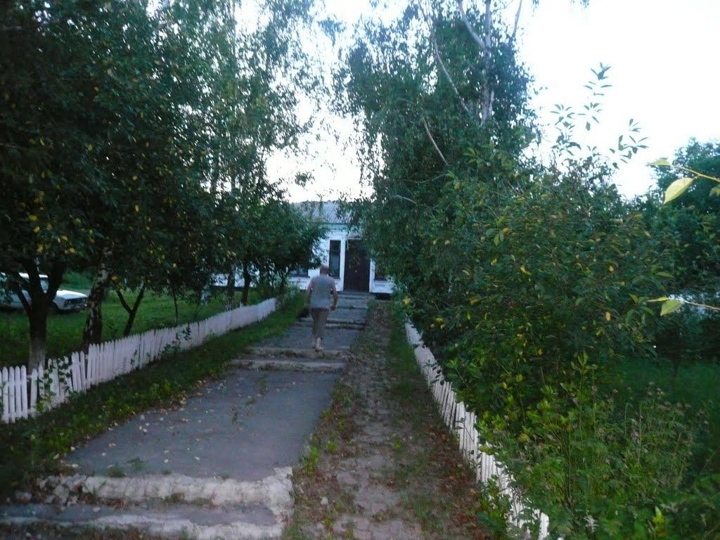 Пасат з panoramio.com