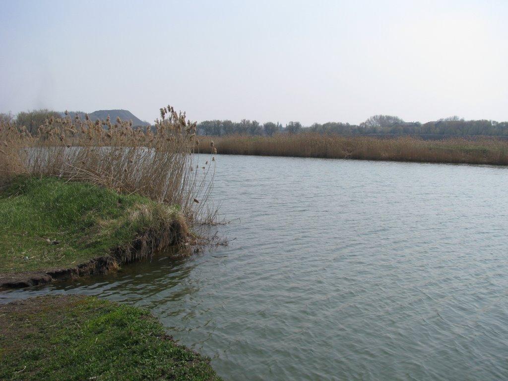 Кремінець з panoramio.com - Кременец
