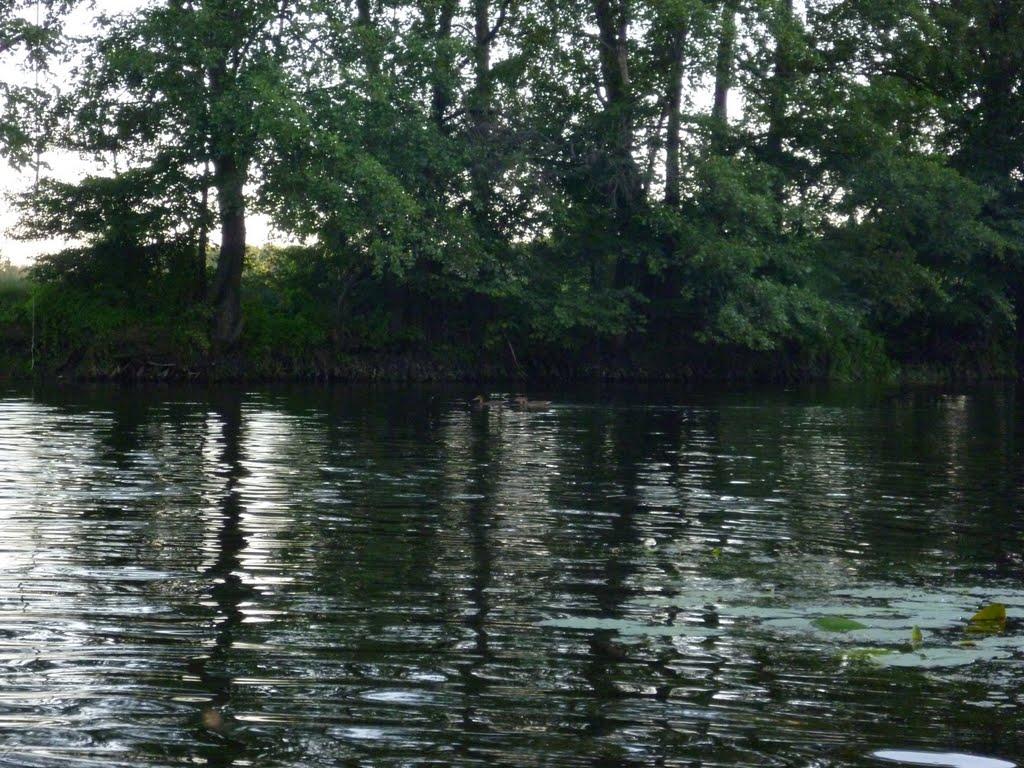 Матяшівка з panoramio.com - Матяшівка