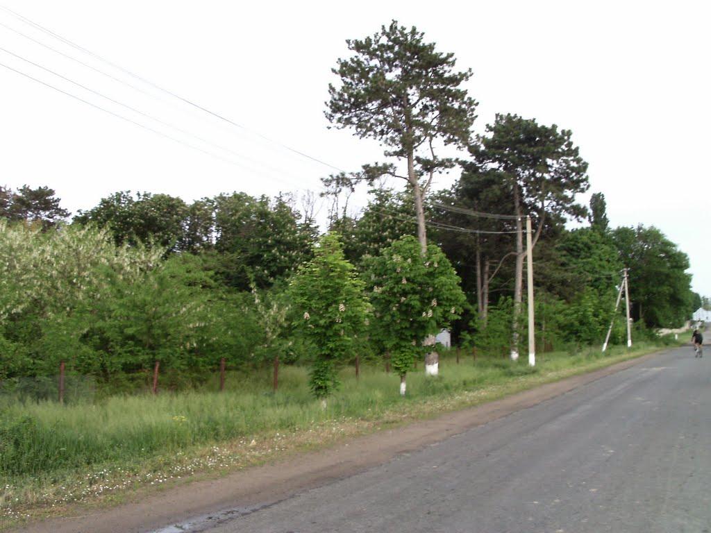 Вознесенськ з panoramio.com - Вознесенськ