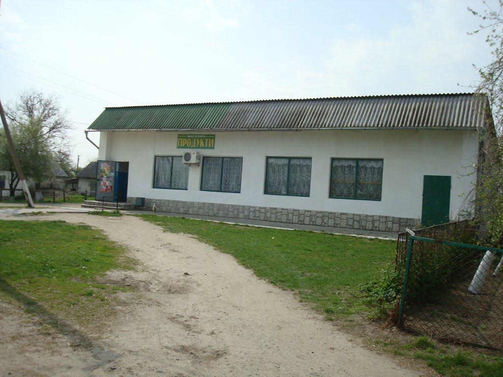 Дроздні з panoramio.com - Дроздни