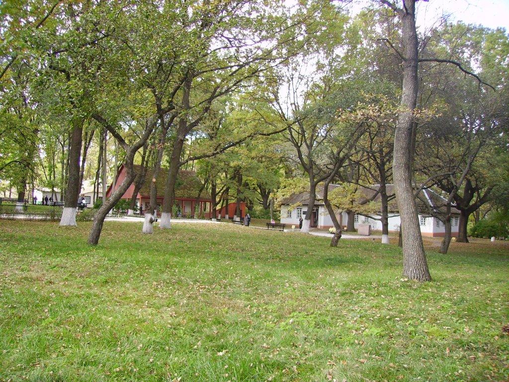 Шевченкове з panoramio.com - Шевченкове