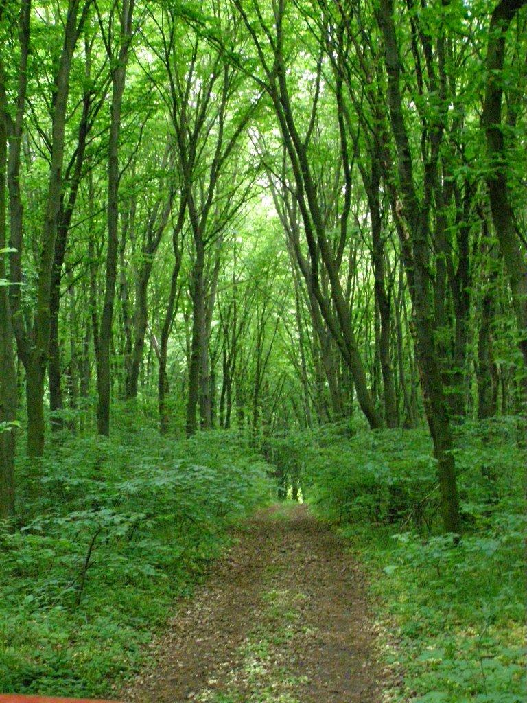 Підбірці з panoramio.com - Підбірці