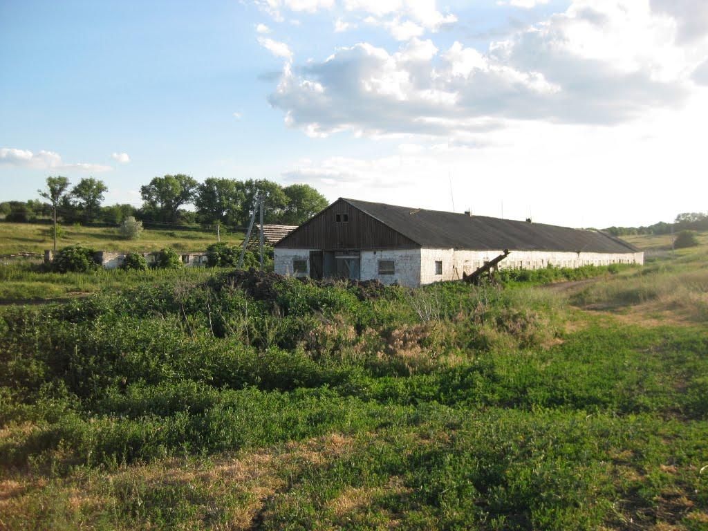 Яковенкове з panoramio.com - Яковенкове