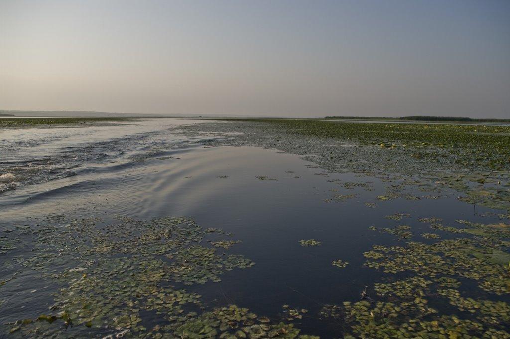 Канівське з panoramio.com - Каневское