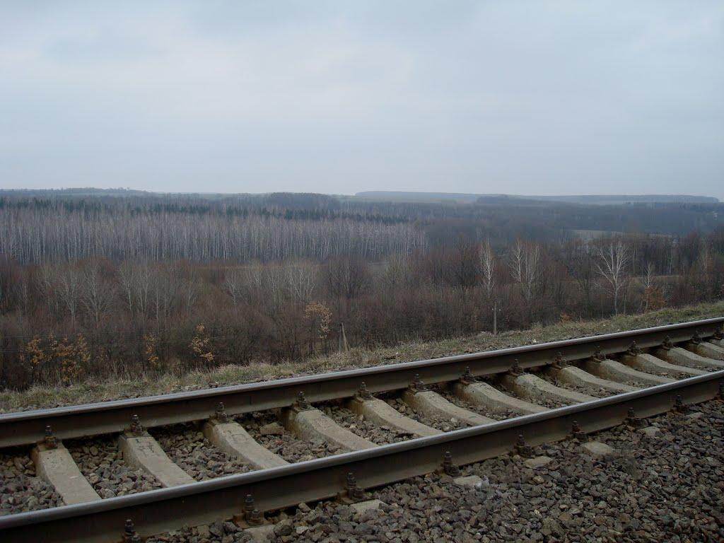 Сербинівці з panoramio.com - Сербинівці