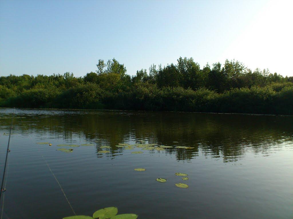 Миси з panoramio.com - Миси