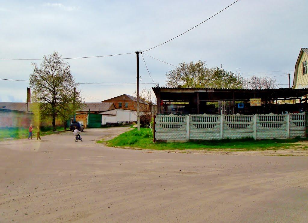 Звенигородка з panoramio.com - Zvenigorodka
