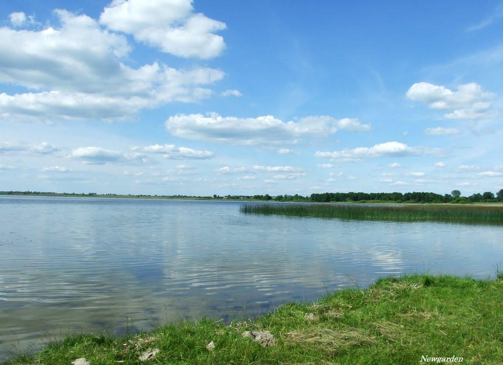 Сомин з panoramio.com - Сомин