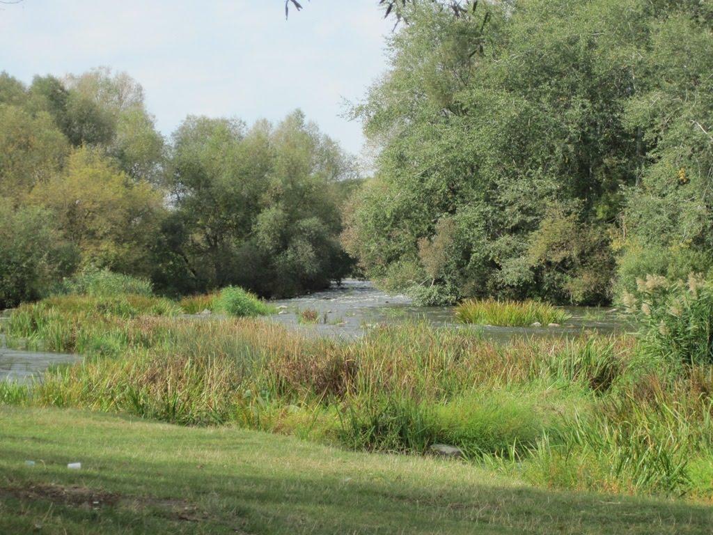 Мала Мечетня з panoramio.com - Мала Мечетня