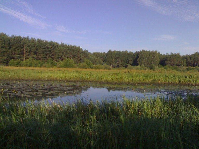 Порубка з panoramio.com - Порубка