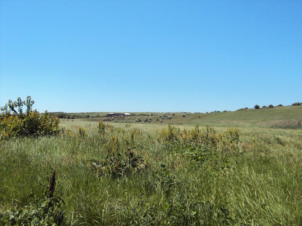 Ряснопіль з panoramio.com - Ряснополь