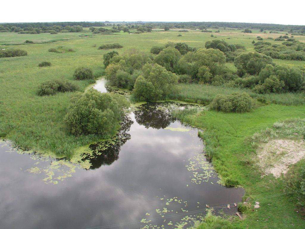 Заячівка з panoramio.com - Заячівка