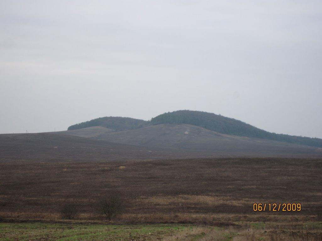 Ушня з panoramio.com - Ушня