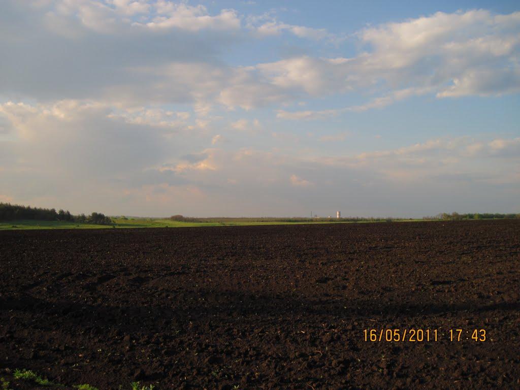 Бірюкове з panoramio.com - Бирюково