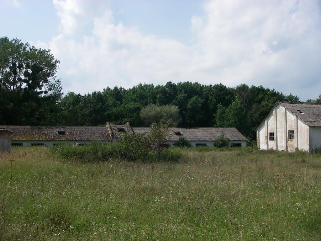 Виповзів з panoramio.com - Виповзів