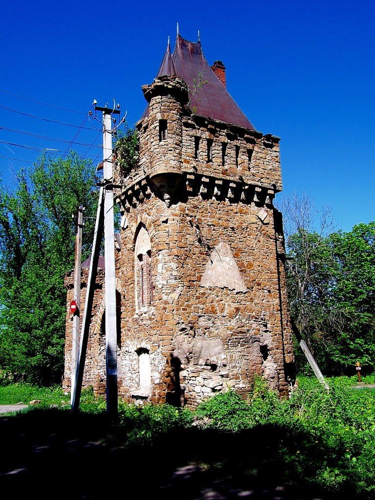 Селезнівка з panoramio.com - Селезневка