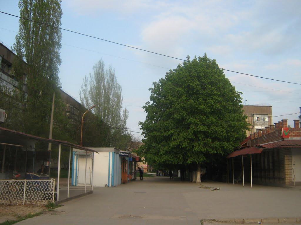 Орджонікідзе з panoramio.com - Орджоникидзе