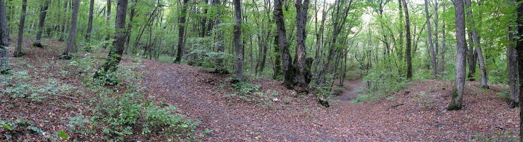 Перевальне з panoramio.com - Перевальное