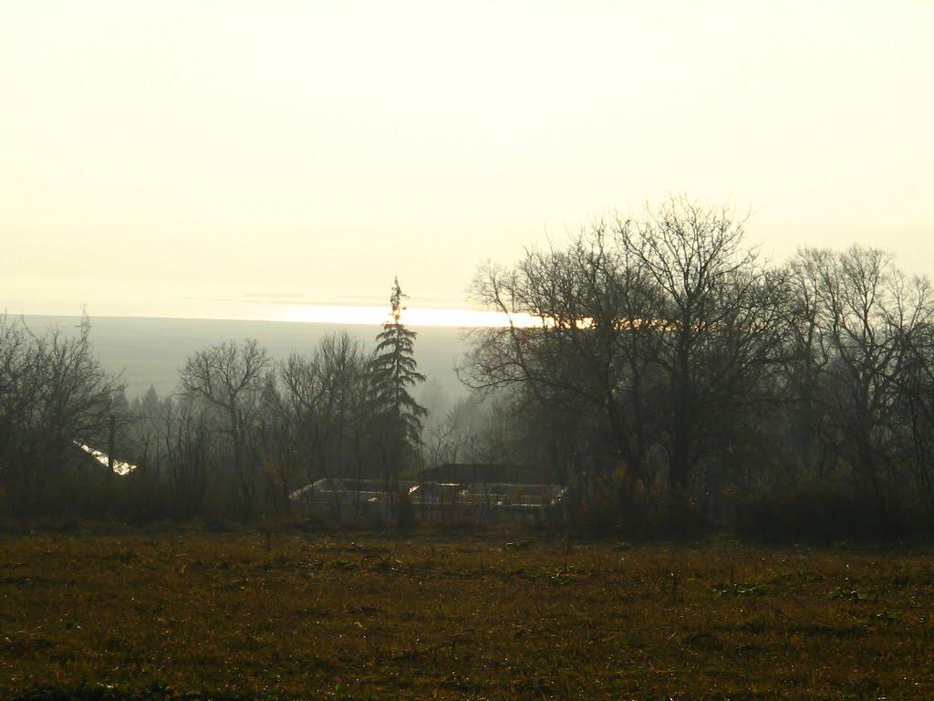 Нижні Синівці з panoramio.com - Нижні Синівці