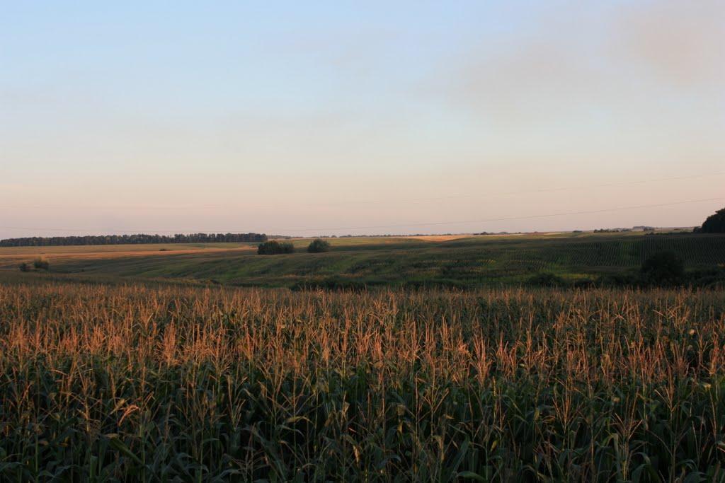 Случ з panoramio.com - Случь