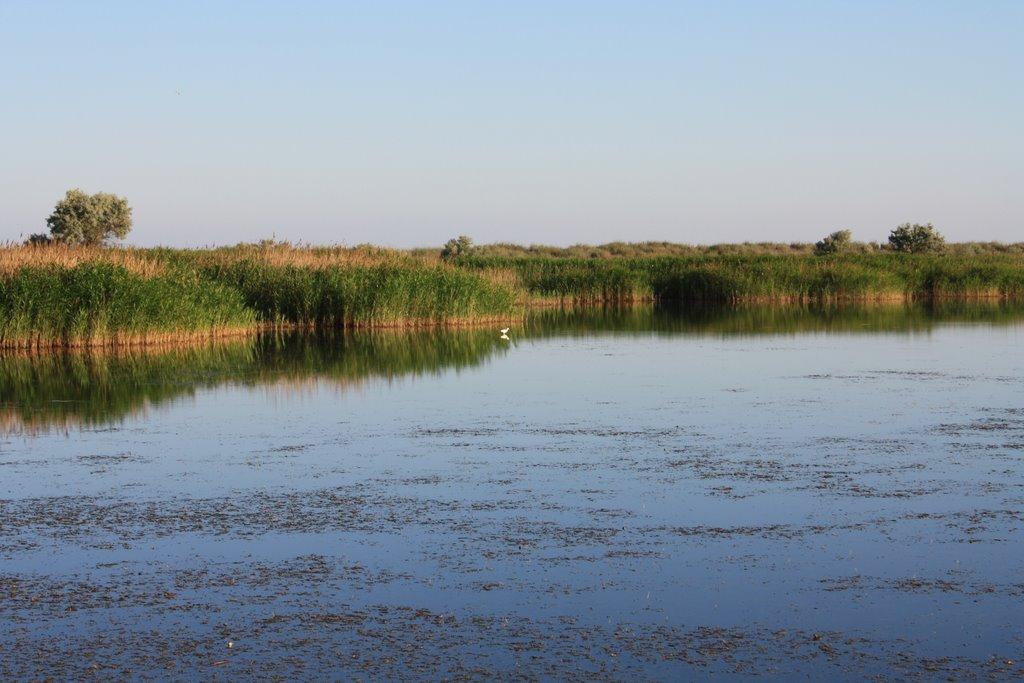 Приморське з panoramio.com - Приморское