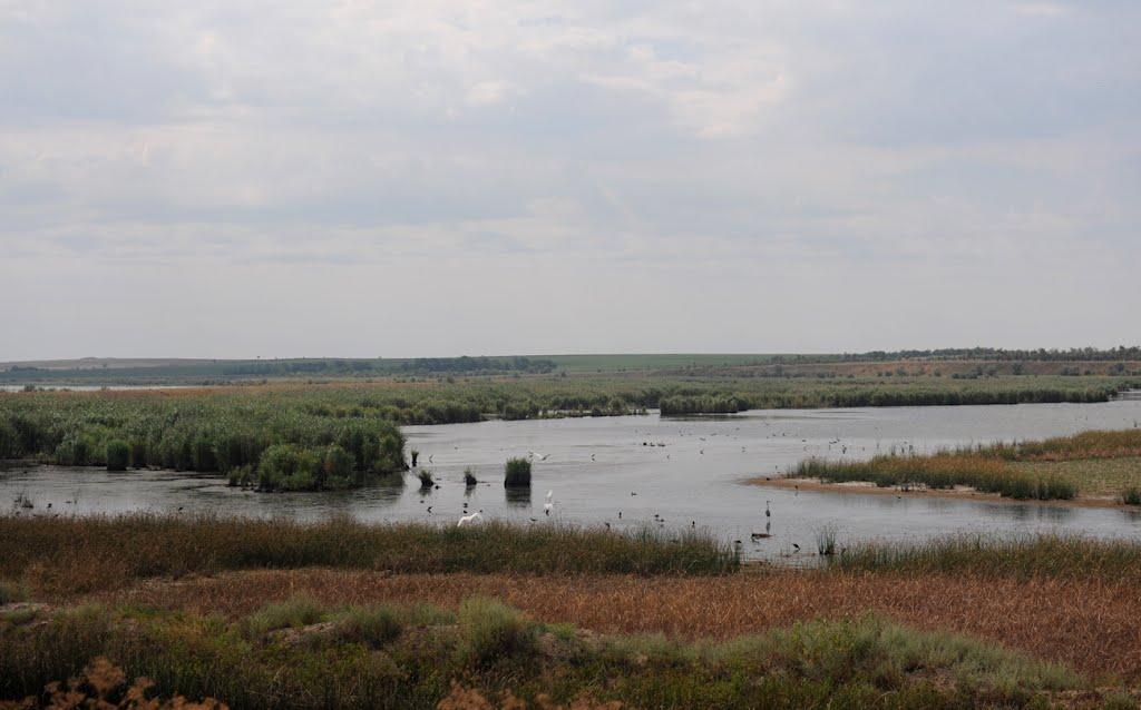 Давидівка з panoramio.com - Давидівка