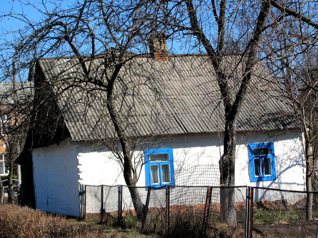 Маневичі з panoramio.com - Маневичи