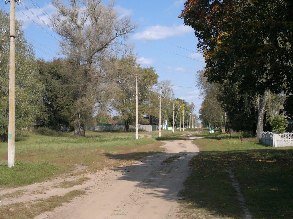 Сиделівка з panoramio.com - Сиделівка
