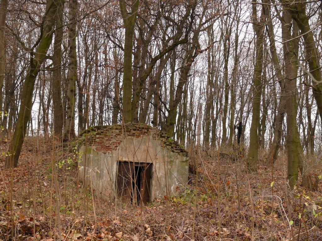 Угринів з panoramio.com - Угринів