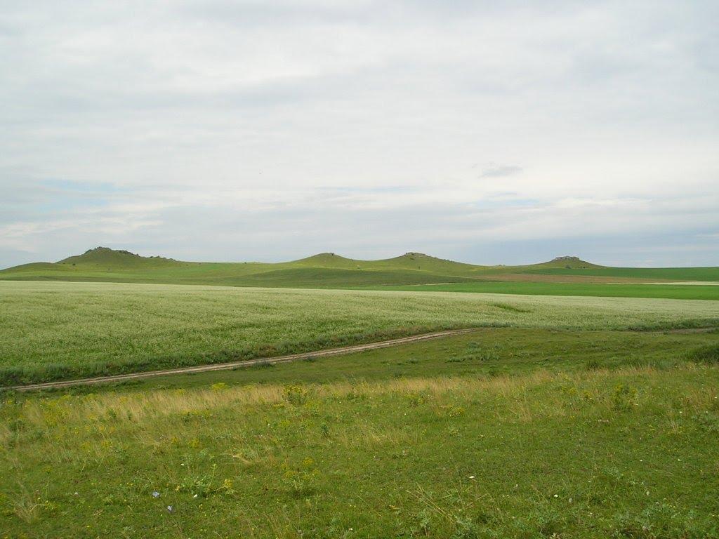 Вербка з panoramio.com - Вербка