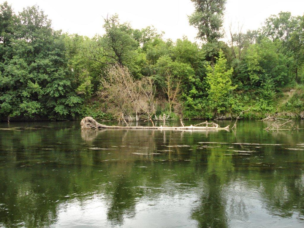 Букине з panoramio.com - Букине