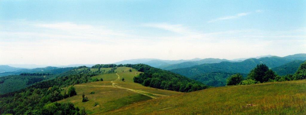 Плав'я з panoramio.com - Плавья