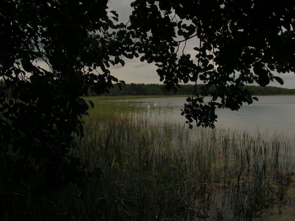 Заозерне з panoramio.com - Заозерне